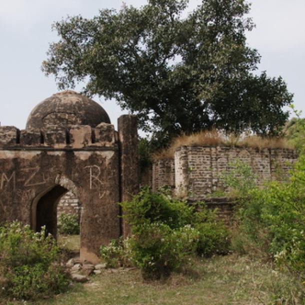 12 agent 5 marla house for rent-0